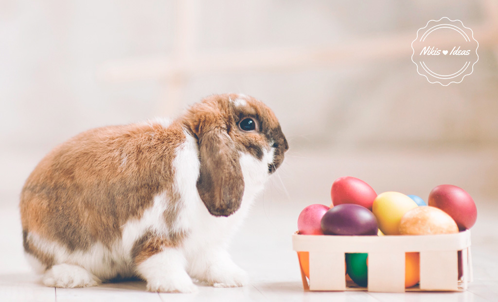 El porqué del conejo y los huevos de Pascua - eDafes - Academia de